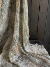 Load image into Gallery viewer, Grevillea + Eucalyptus  Silk Scarf